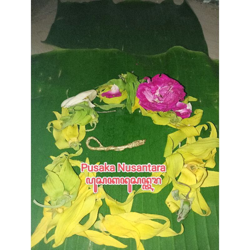Cemeti Naga Amarasuli 100% Asli Wingit