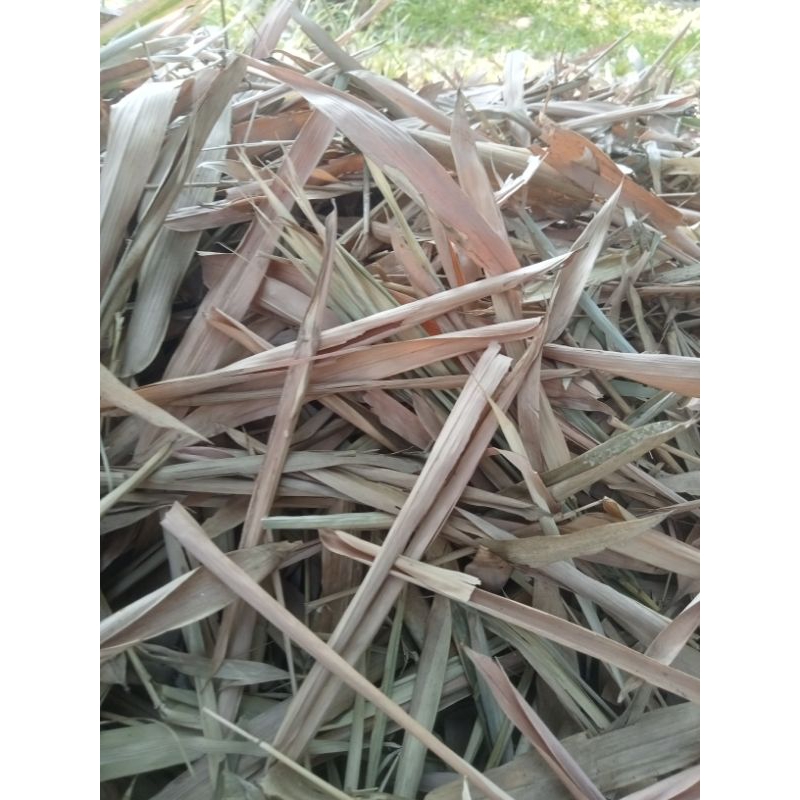 

DAUN BAMBU KERING 1KG