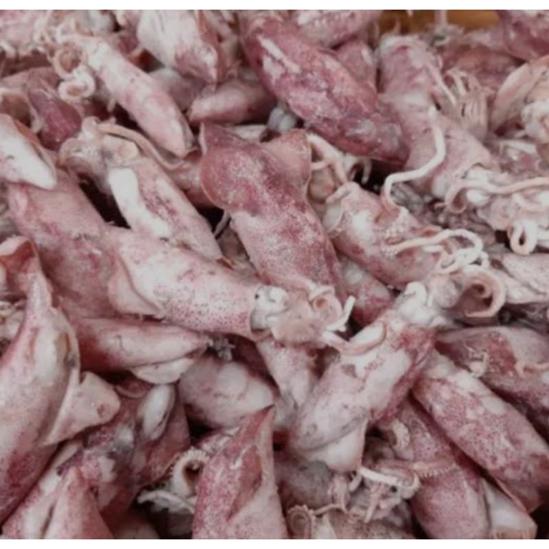 

Baby Cumi Asin Super 500 gram Segar