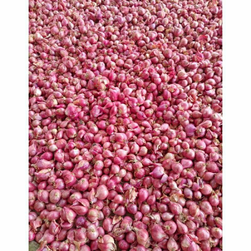 

Bawang Merah Asli NGANJUK Besar kecil 1/4kg