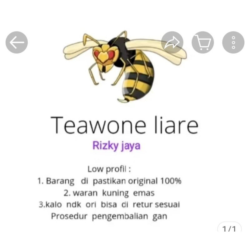 

lebah Kuning keemasan ORI isi 20