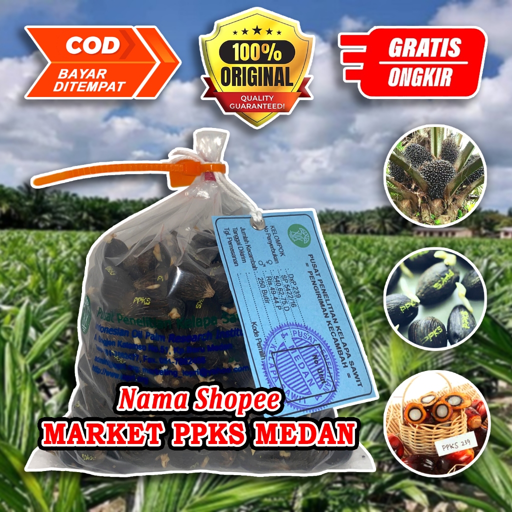 PPKS DxP 239 UNGGUL MEMILIKI SERTIFIKAT