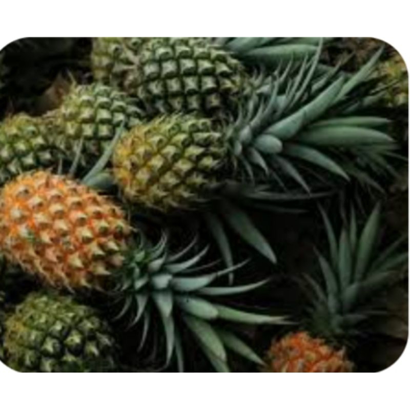 

Nanas Tidak Kupas |Pasar Makassar