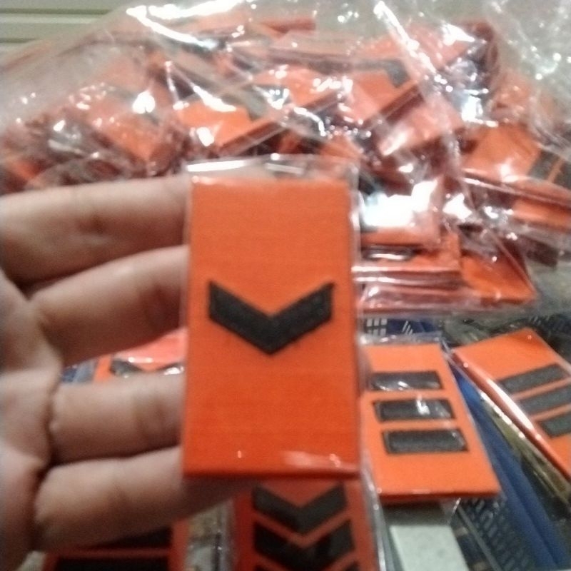 pangkat pdl Basarnas