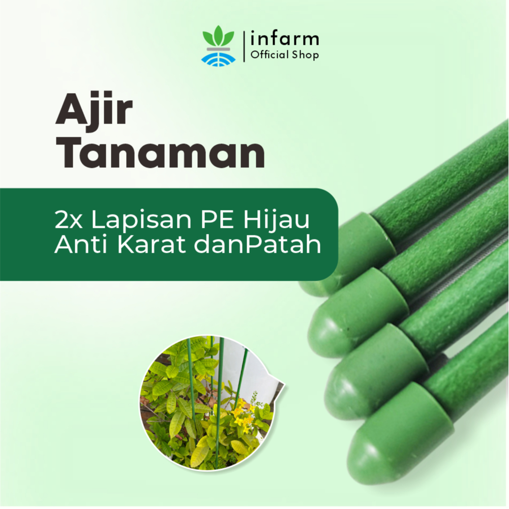 INFARM - Ajir Tongkat Penyangga Tanaman Rambat Ukuran 75 cm Anti Karat ajir tanaman, ajir penyokong,