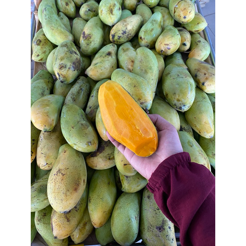 

Mangga Golek