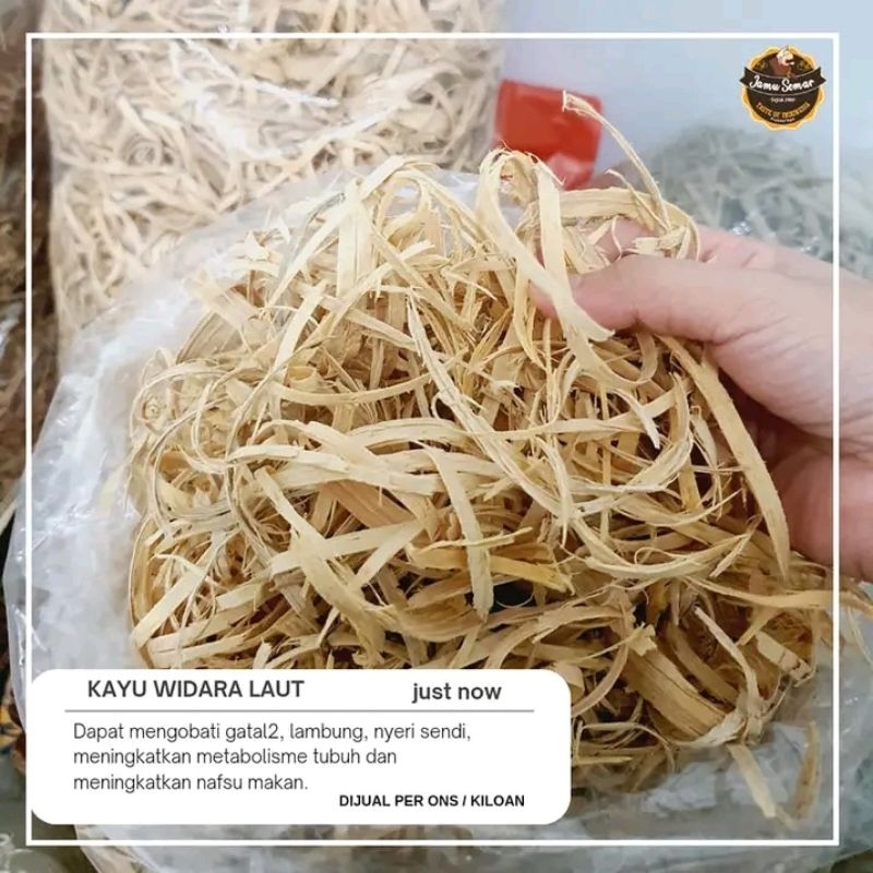 Kayu Widara laut