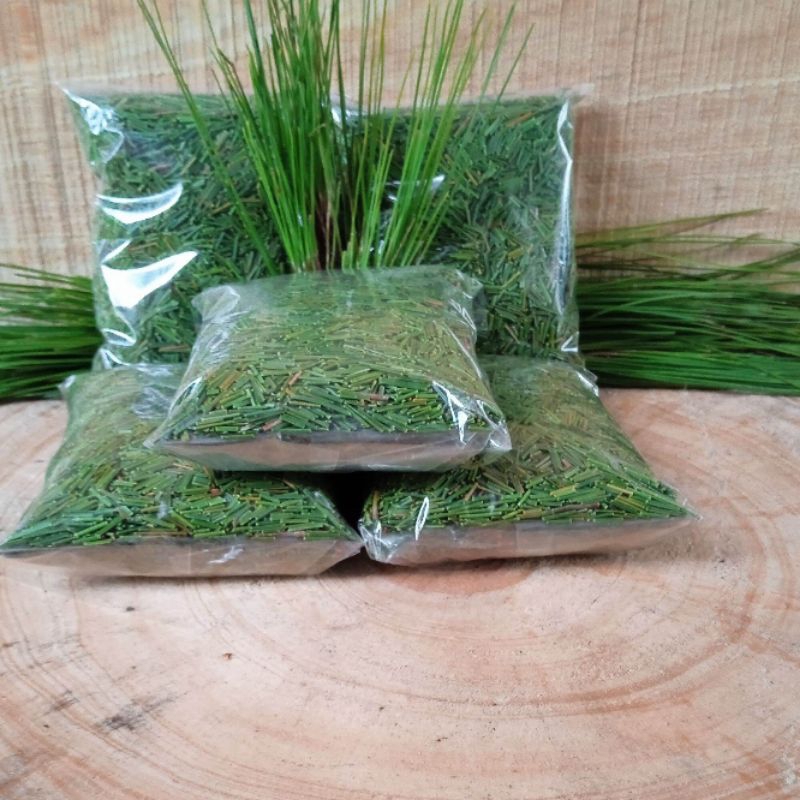 

Daun pinus bubuk teh daun pinus 100 gram