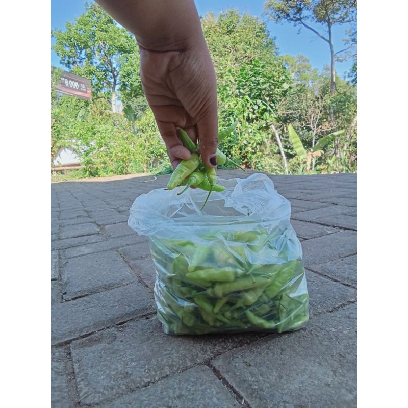 

cabe super pedas