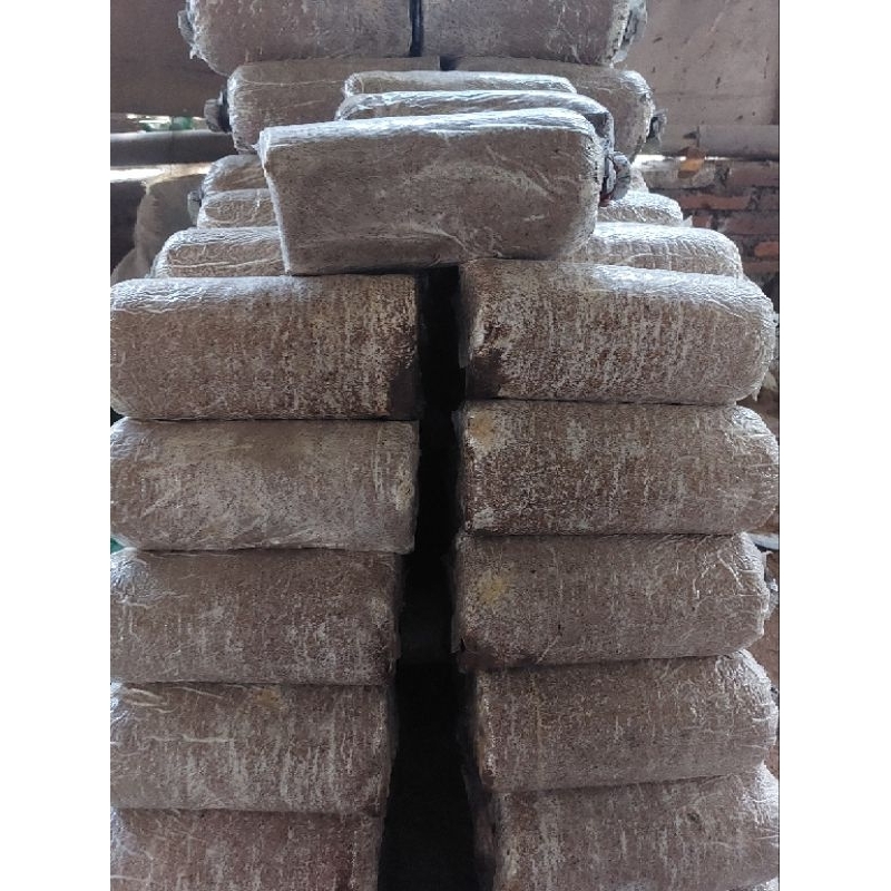 

baglog jamur tiram putih