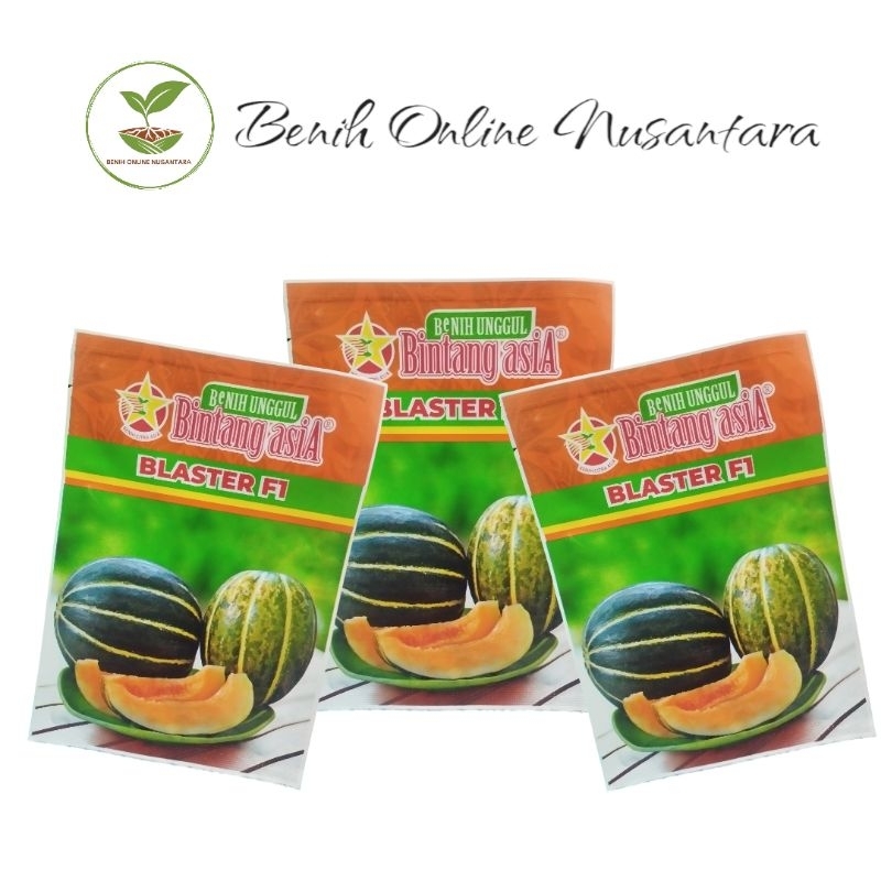 benih BLEWAH BLASTER F1 original dari BINTANG ASIA