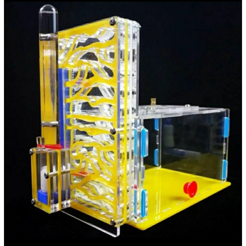Formicarium Acrylic Ants Housing Ant Farm Ternak Rumah Sarang Semut