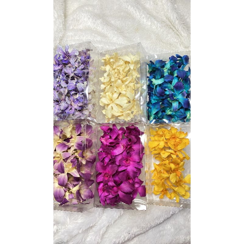 Dried Orchid Head / Anggrek Kering - 1 KUNTUM