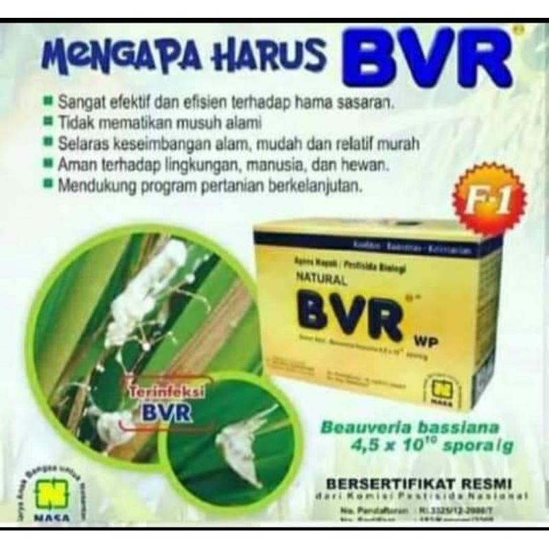 bvr nasa