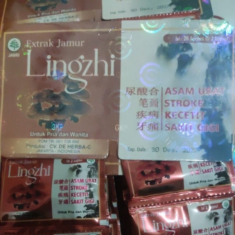 Jamu LINGZHI Extrak Jamur original