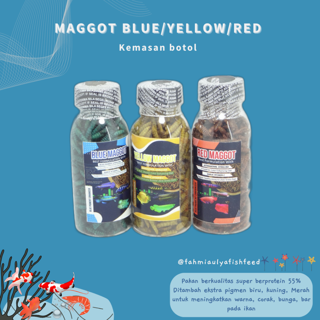Kemasan botol Maggot BLUE/YELLOW/RED