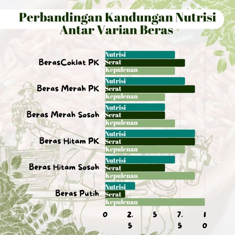 

RB22 Beras Merah Pecah Kulit 1 Kg Kemasan Vakum Lumbung Tampomas