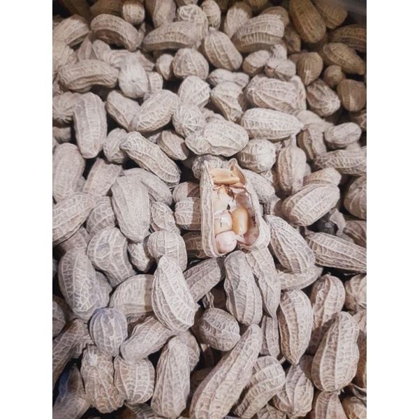 

Kacang Kulit Sangrai 200GR (1/4KG) /Kacang Bakar /Kacang Renyah Kacang Kulit Enak -RAMSUMSNACK17