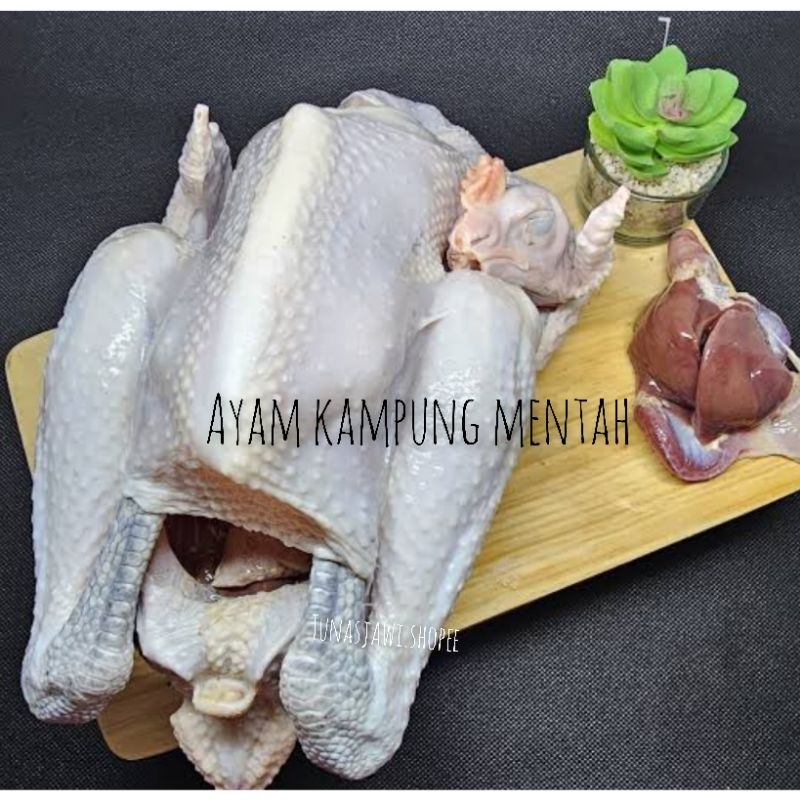 

ayam kampung(asli&fresh,size S=700gram)