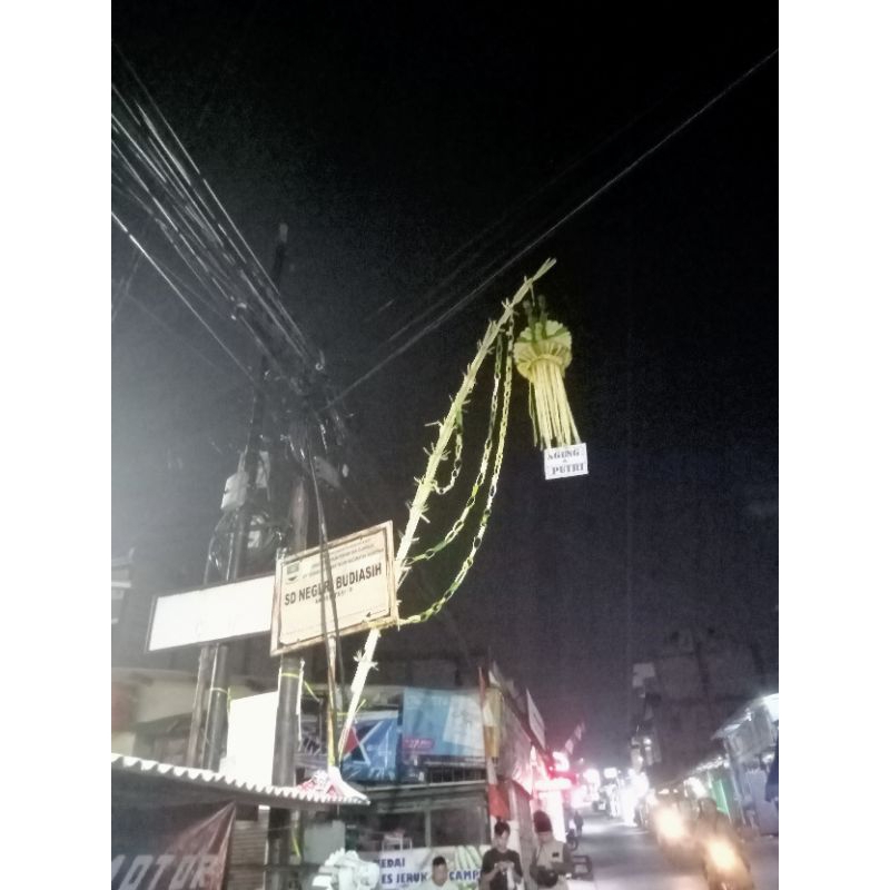 Janur kuning Pernikahan/khitanan asli segar CIMAHI BDG PADALARANG