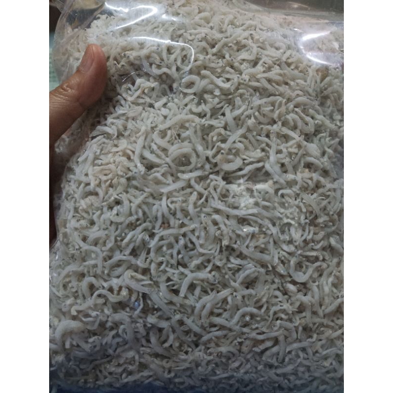 

ikan teri Medan kualitas bagus grade