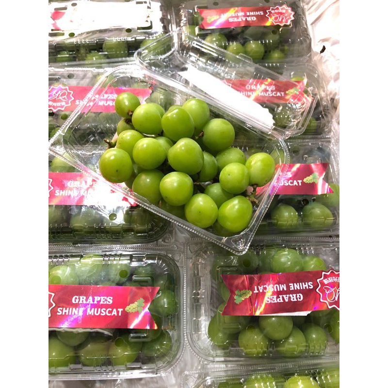 

Anggur Shine Muscat China berat 500grm /pack