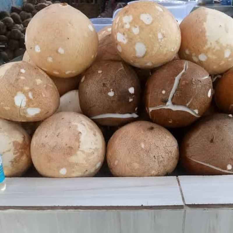 

Klapa utuh/parut 1 butir