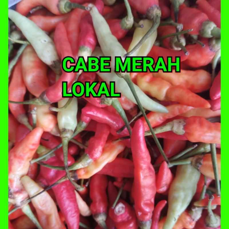 

Cabai Rawit Lokal