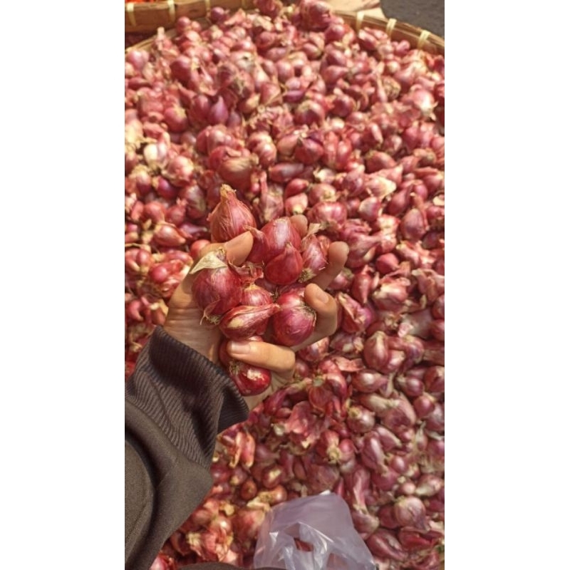 

Bawang merah