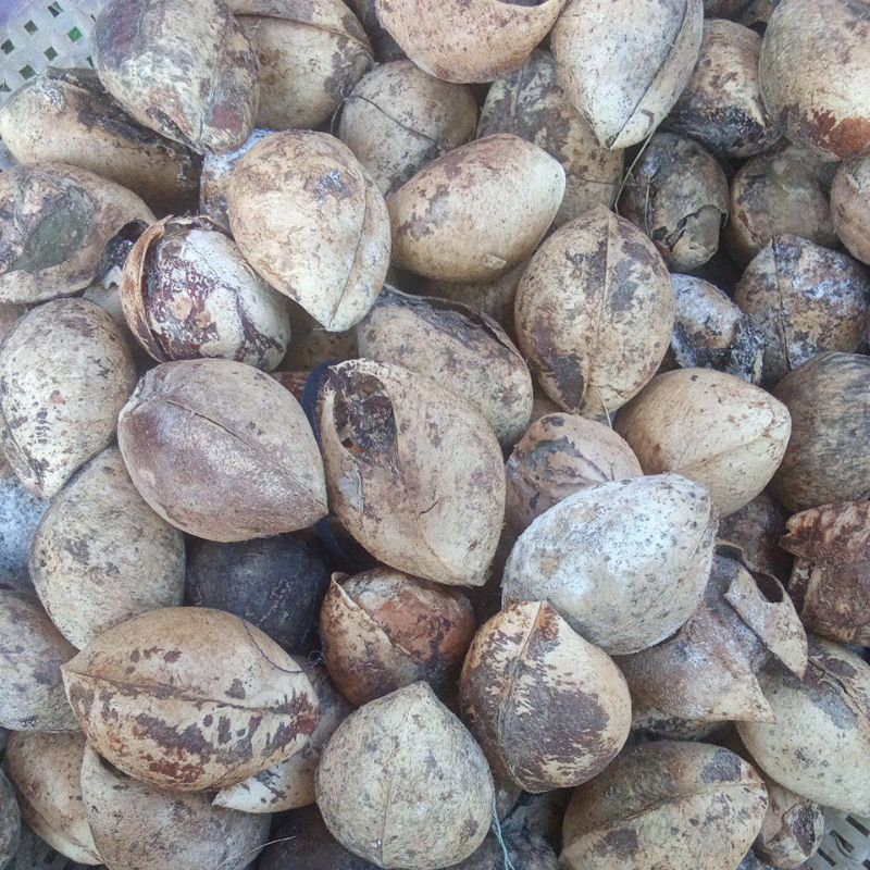 

kemiri kemasan 500 geram