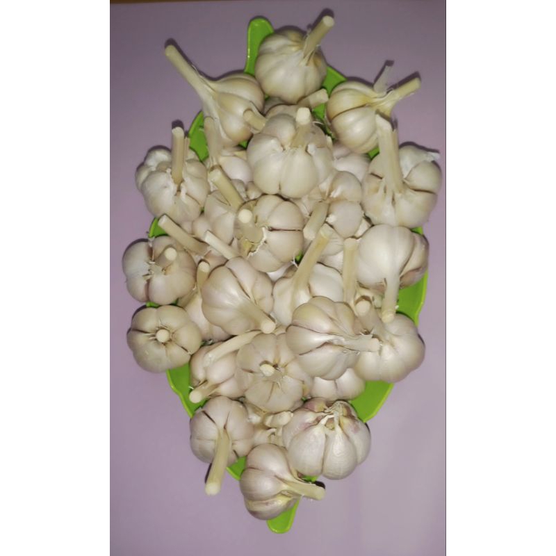

BAWANG PUTIH KATING 1 KG