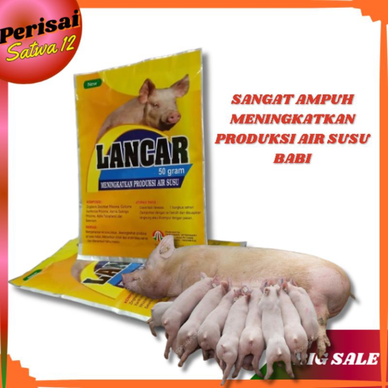 Obat Herbal Ampuh Melancarkan air susu Meningkatkan Produksi Air Susu Induk Babi