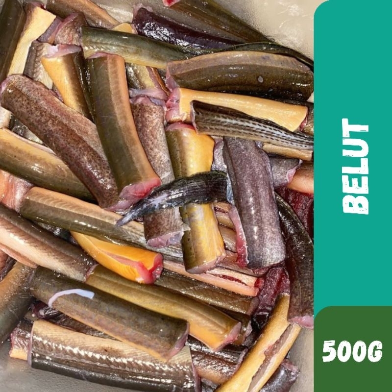 

Fresh Belut / Welut 500g (SUDAH BERSIH TINGGAL MASAK)