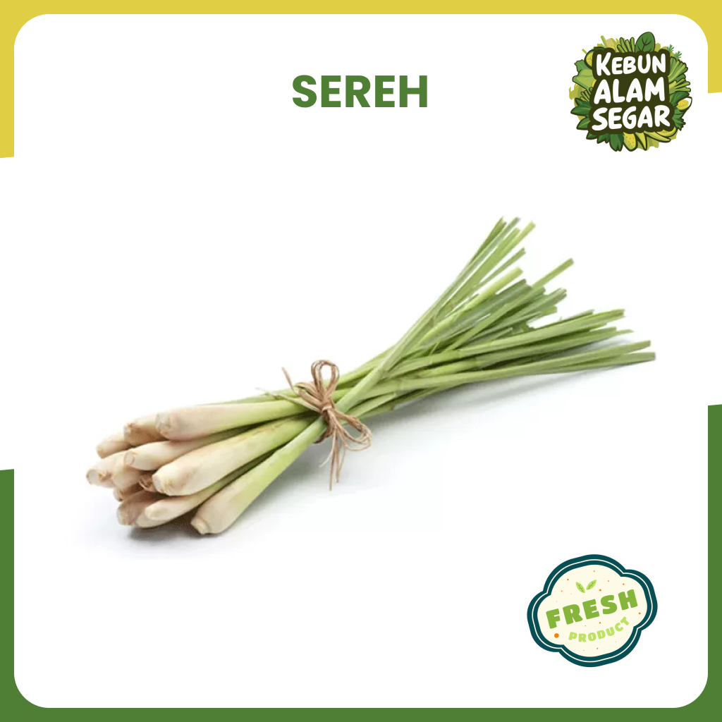 

SEREH SERAI SEGAR WANGI 250gr stok banyak langsung dari kebun