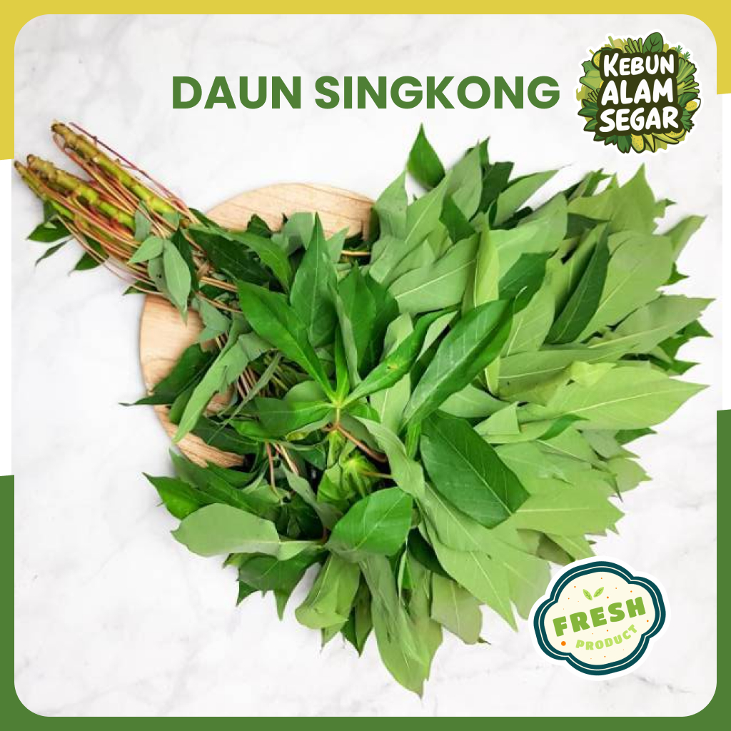 

DAUN SINGKONG SEGAR Per ikat Langsung petik dari kebun