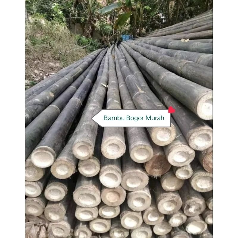 Bambu Hitam Bambu Wulung Bulat Asli Tua Panjang 3 Meter