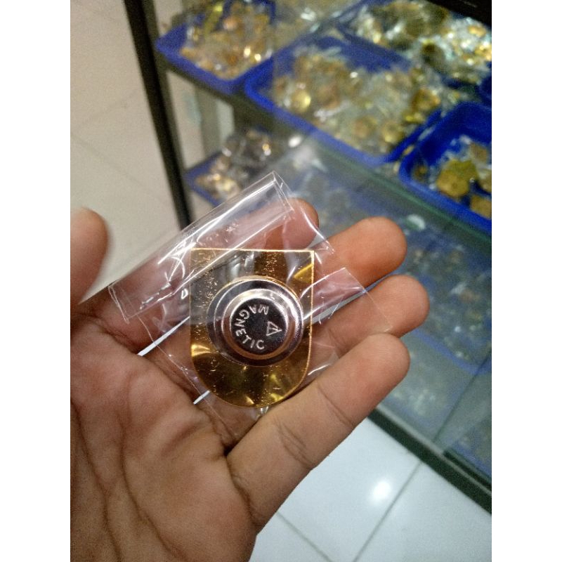 pin perekat pemersatu bangsa