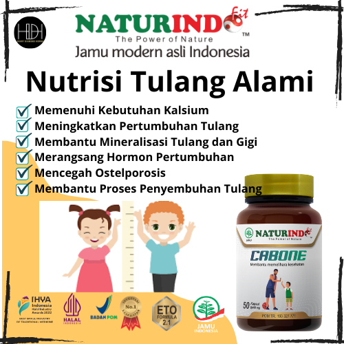 Nutrisi Tulang Menyembuhkan Gigi Dan Gusi Bengkak Patah Tulang Skoliosis Pengapuran Herbal Alami