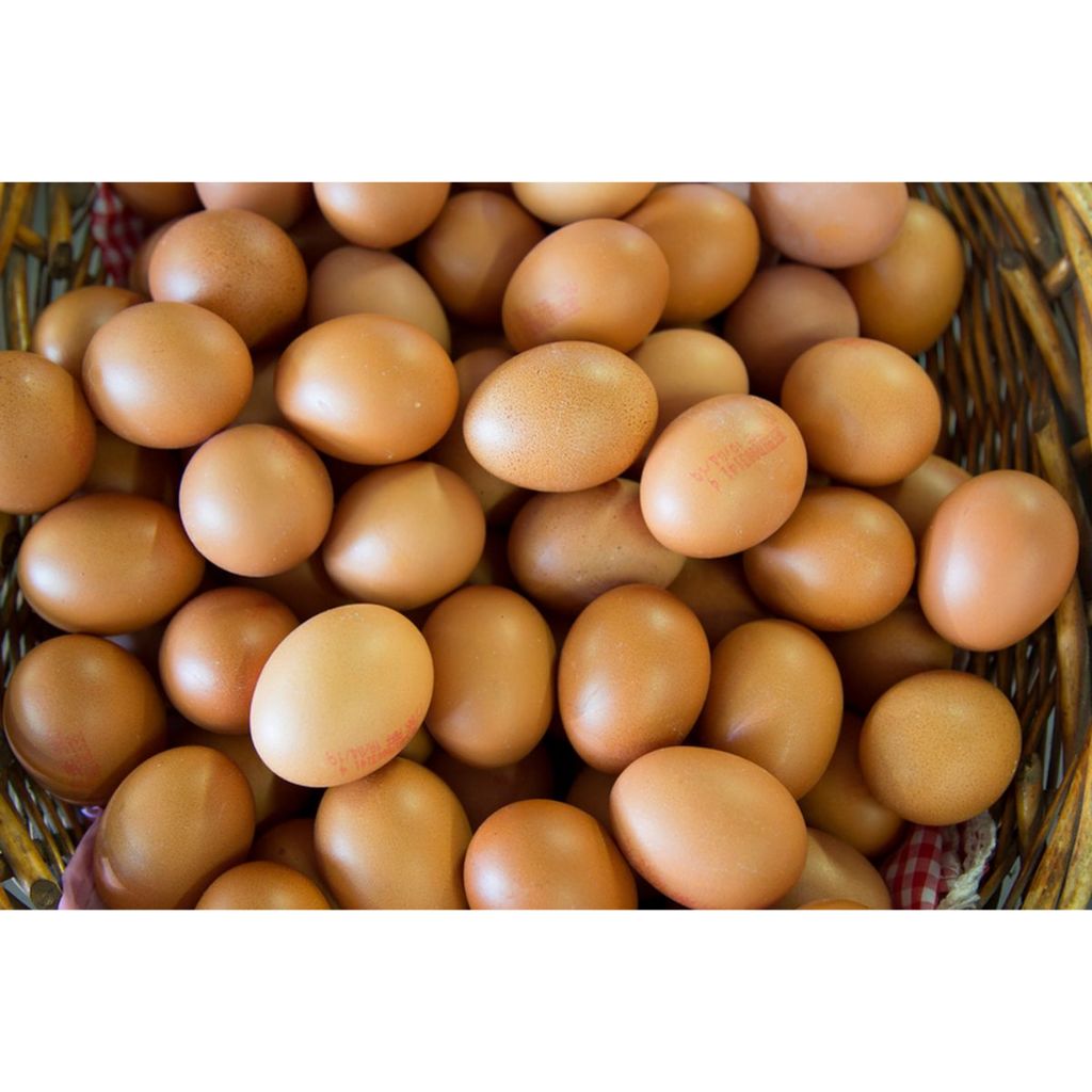 

Egg / Telur Pack Isi 10 All Varian Happy Egg Daily Fresh, Omega, So Good Omega, KIP Merah, Omega, Rendah Kolesterol