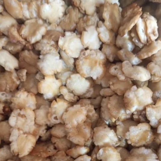 

EMPING MELINJO KLETUK MANIS GURIH 250GRAM