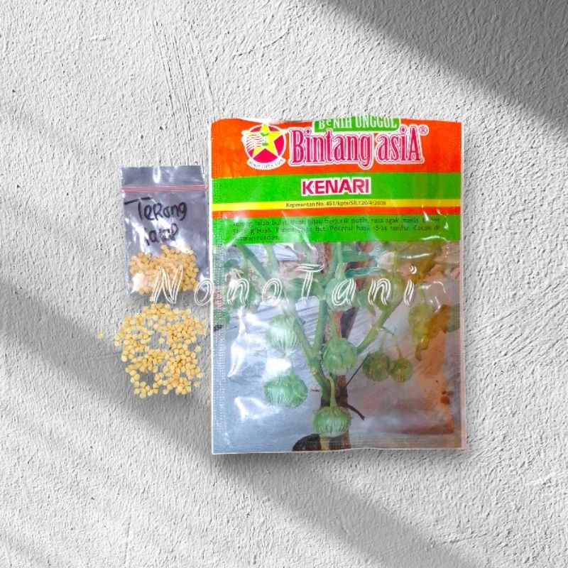Benih Terong Lalap Kenari Repacking