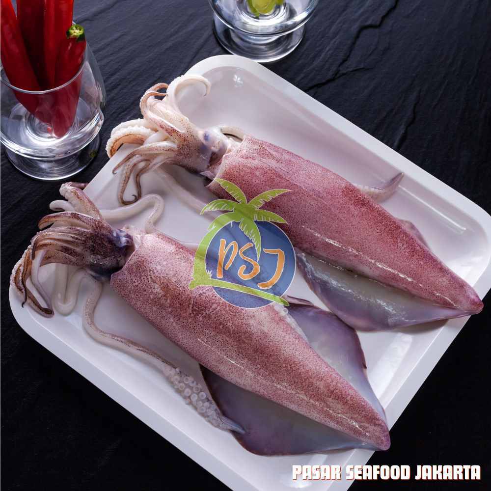 

PROMO CUMI 1/2 KG / CUMI BANGKA SEGAR - FRESH BANGKA SQUID/ CUMI FRESH