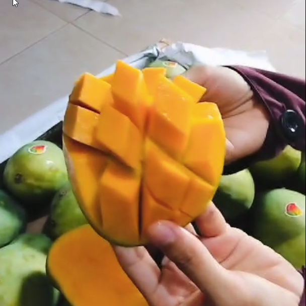 

Mangga Harum Manis Premium - HARGA TERMURAH