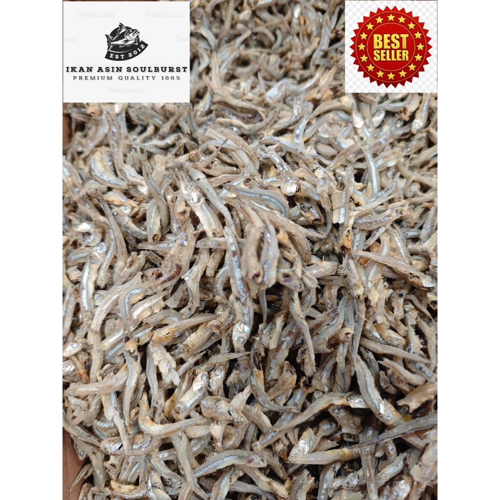 

Ikan Asin Jengki Bulat Kualitas Super 250 Gram