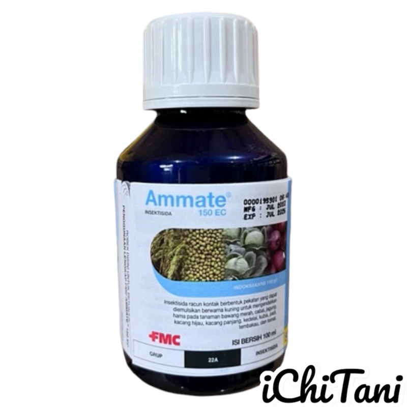 Ammate 100 ML