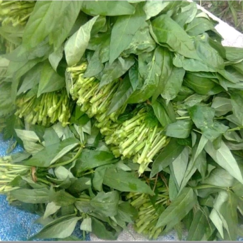 

jual daun kacang panjang segar per iket ya kak