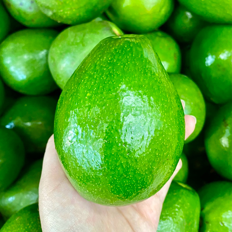 

Alpukat Mentega Avocado 500 gr / 1000 gr (1 kg)