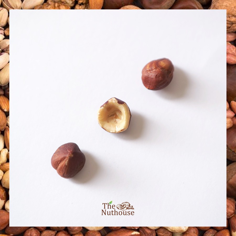 

500gr RAW Hazelnut / Kacang Hazelnut Mentah - Natural with Skin / Skinless [Premium]