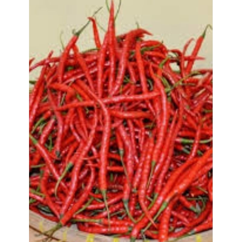

cmk cabe keriting merah 100gr