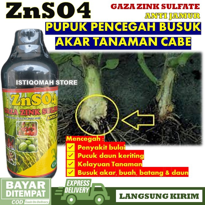 Pupuk Obat Busuk Pada Akar Tanaman Cabe ZNSO4 GAZA 500ML Pupuk Zink Sulfate Anti Jamur Obat Semprot 